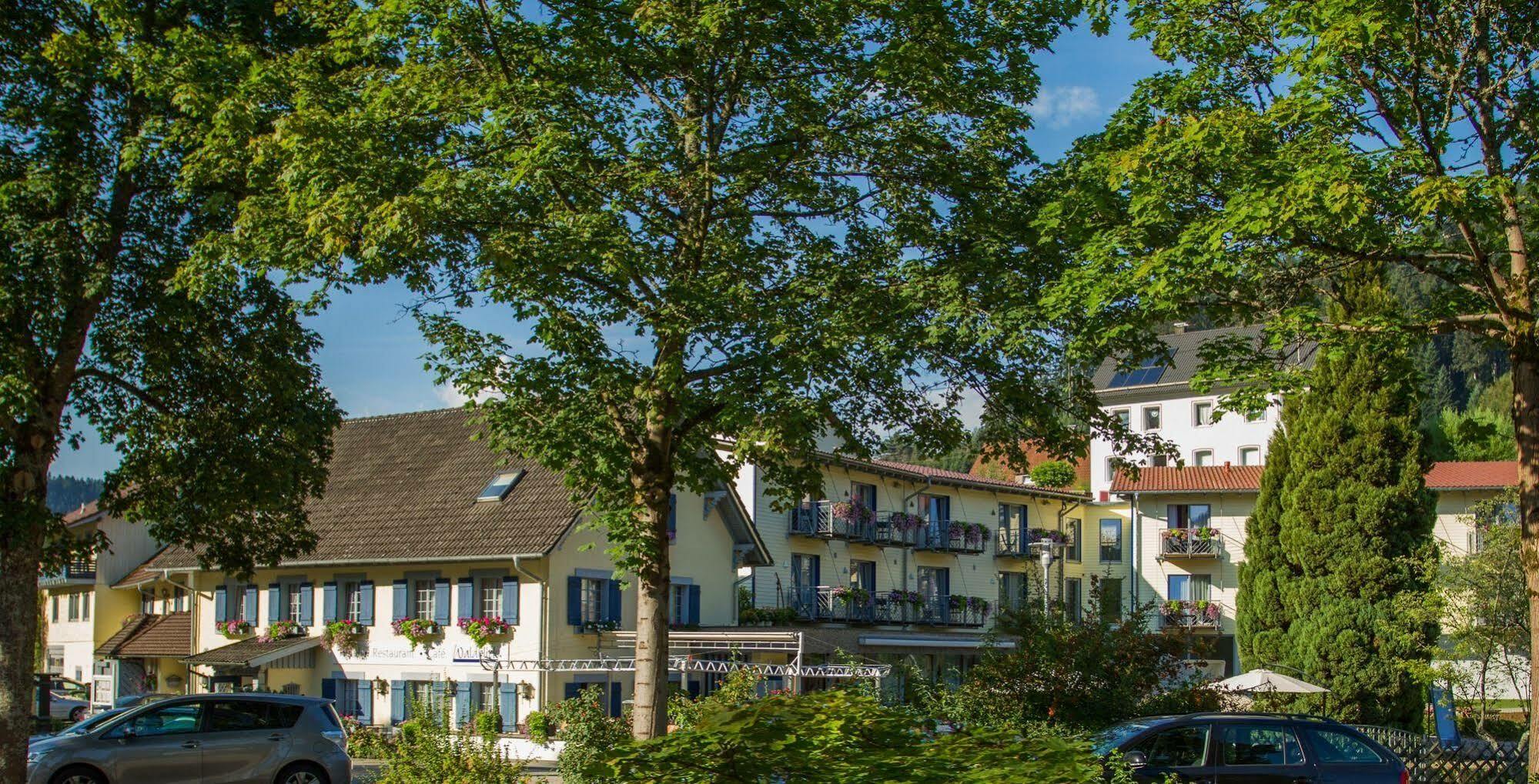 Hotel Waldblick Schenkenzell Экстерьер фото
